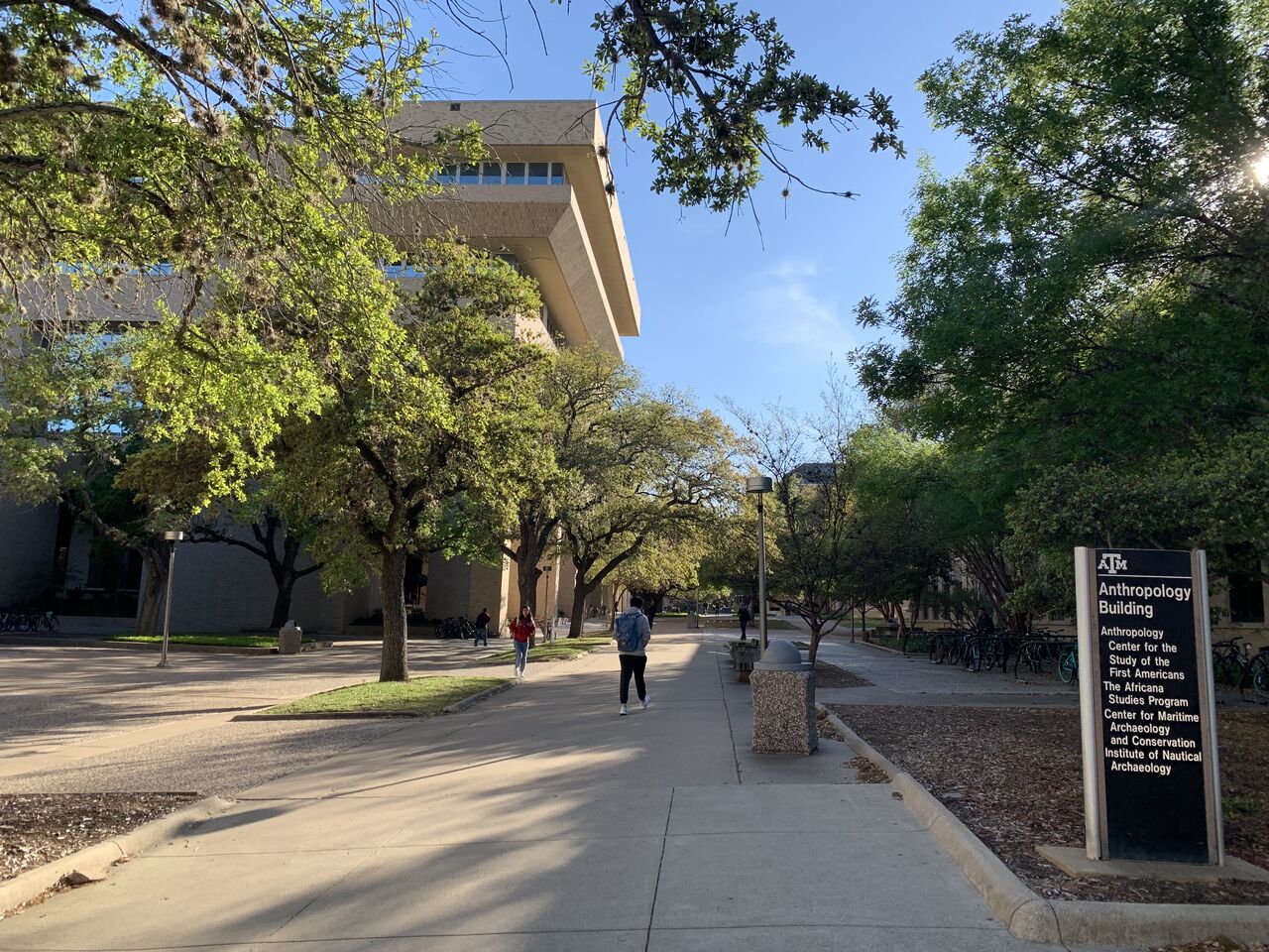 Texas A&M 대학 전경